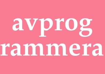 Synonym avprogrammera
