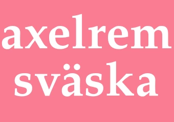 Synonym axelremsväska