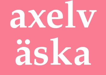 Synonym axelväska