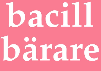 Synonym bacillbärare