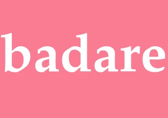 Synonym badare