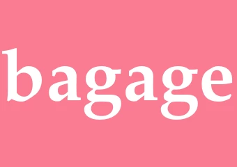 Synonym bagage