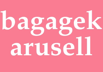 Synonym bagagekarusell