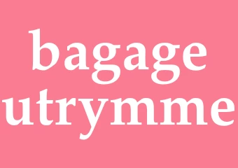 Synonym bagageutrymme
