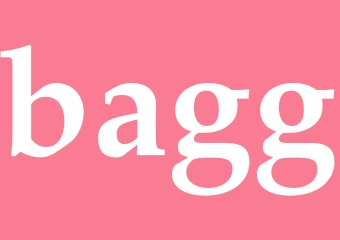 Synonym bagg