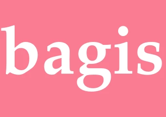 Synonym bagis