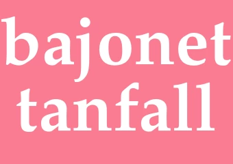 Synonym bajonettanfall