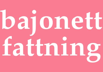 Synonym bajonettfattning