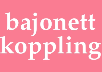 Synonym bajonettkoppling