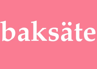 Synonym baksäte