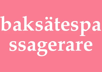 Synonym baksätespassagerare