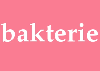 Synonym bakterie