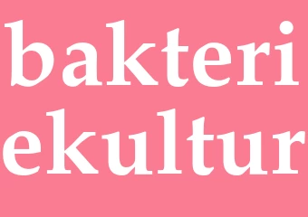 Synonym bakteriekultur