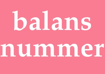 Synonym balansnummer