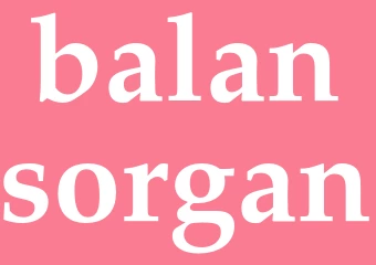 Synonym balansorgan