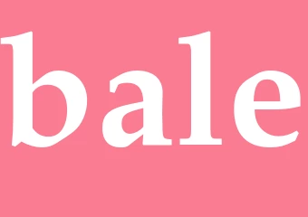 Synonym bale