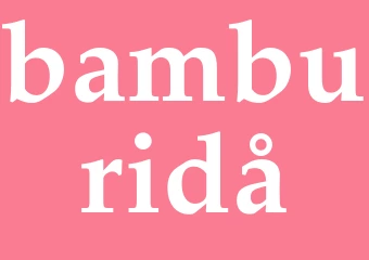 Synonym bamburidå