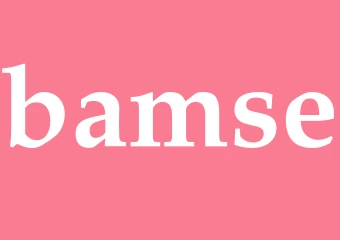 Synonym bamse