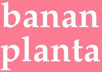 Synonym bananplanta