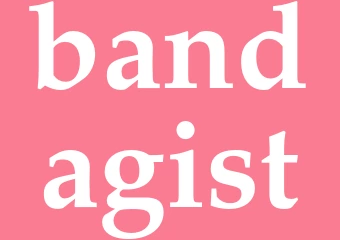 Synonym bandagist