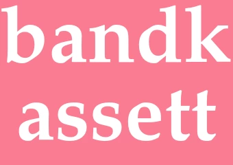 Synonym bandkassett