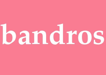 Synonym bandros