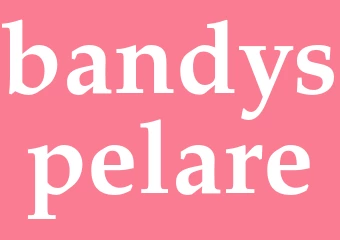 Synonym bandyspelare