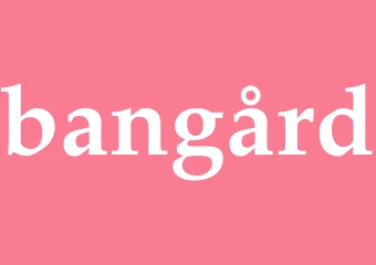 Synonym bangård