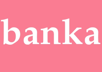 Synonym banka