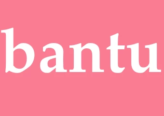 Synonym bantu