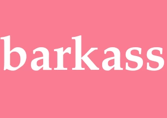 Synonym barkass