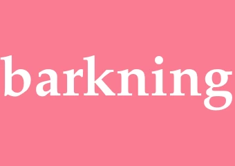 Synonym barkning