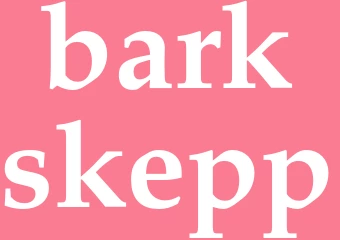 Synonym barkskepp