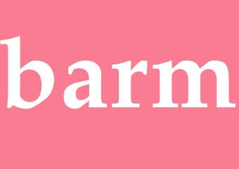 Synonym barm