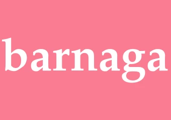 Synonym barnaga