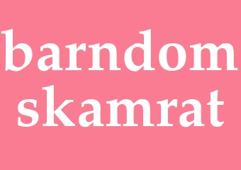 Synonym barndomskamrat