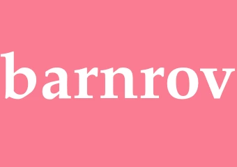 Synonym barnrov