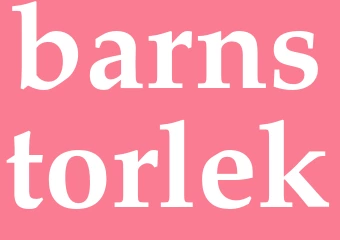 Synonym barnstorlek