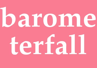 Synonym barometerfall