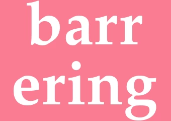 Synonym barrering