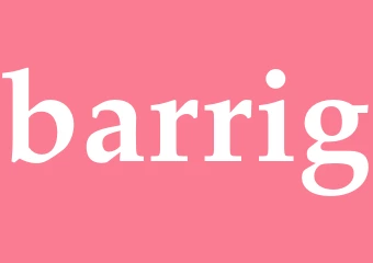 Synonym barrig