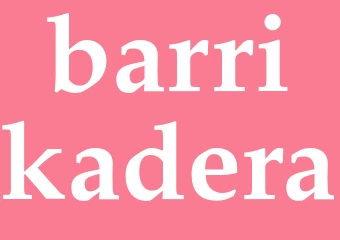 Synonym barrikadera