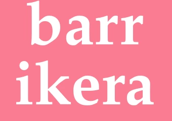 Synonym barrikera
