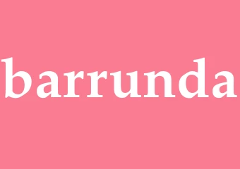 Synonym barrunda
