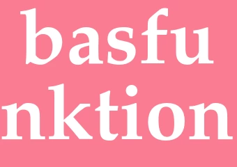 Synonym basfunktion