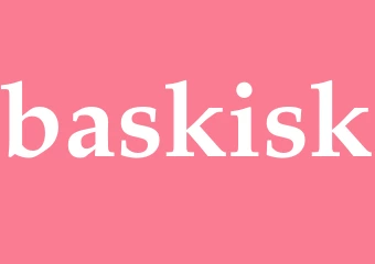 Synonym baskisk
