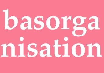 Synonym basorganisation