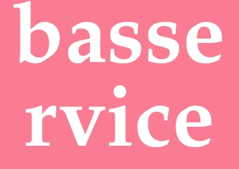 Synonym basservice