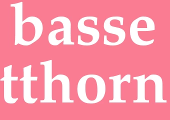 Synonym bassetthorn