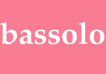Synonym bassolo